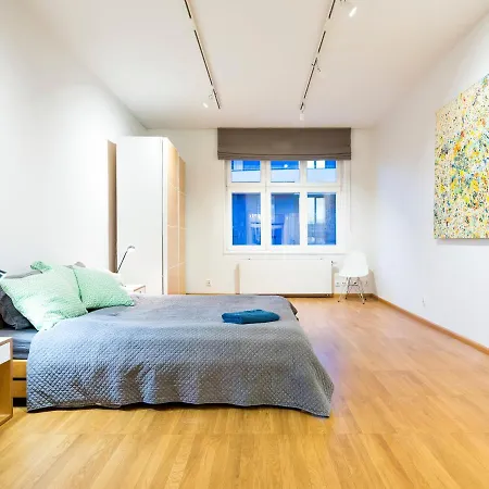 Art Apartament 100m2 City Center * Krasków